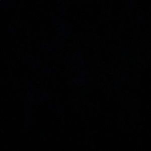 Meet your Posher, Daniela